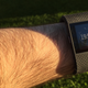Imagen para el artículo titulado Fitbit Surge, análisis: un smartwatch que ni es smart ni es reloj